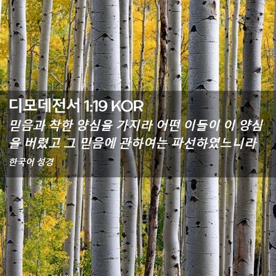 Picture 02 - 디모데전서 1:19 KOR - 믿음과 착한 양심을 가지라 어떤 - Bible Verse Picture
