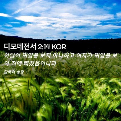 Picture 02 - 디모데전서 2:14 KOR - 아담이 꾀임을 보지 아니하고 여자가 - Bible Verse Picture