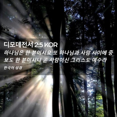 Picture 02 - 디모데전서 2:5 KOR - 하나님은 한 분이시요 또 하나님과 - Bible Verse Picture