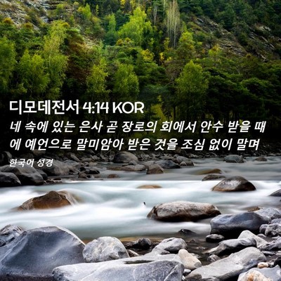 Picture 02 - 디모데전서 4:14 KOR - 네 속에 있는 은사 곧 장로의 회에서 - Bible Verse Picture