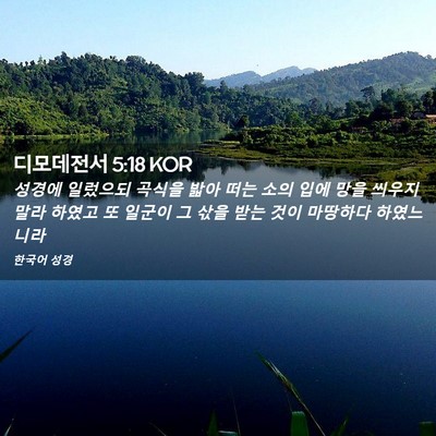 Picture 02 - 디모데전서 5:18 KOR - 성경에 일렀으되 곡식을 밟아 떠는 - Bible Verse Picture