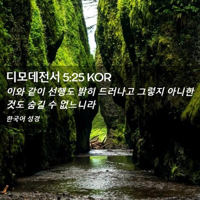 Picture 02 - 디모데전서 5:25 KOR - 이와 같이 선행도 밝히 드러나고 - Bible Verse Picture