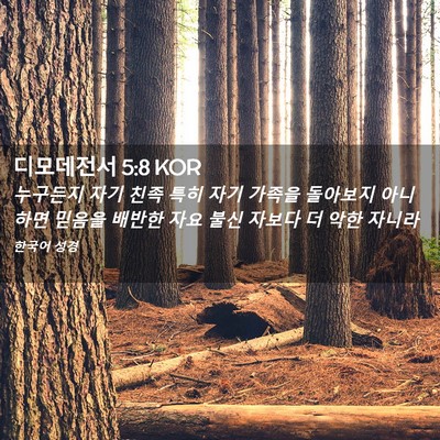 Picture 02 - 디모데전서 5:8 KOR - 누구든지 자기 친족 특히 자기 - Bible Verse Picture