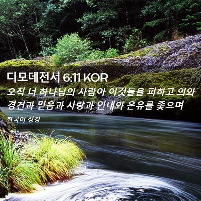 Picture 02 - 디모데전서 6:11 KOR - 오직 너 하나님의 사람아 이것들을 - Bible Verse Picture