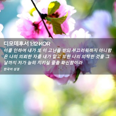 Picture 02 - 디모데후서 1:12 KOR - 이를 인하여 내가 또 이 고난을 받되 - Bible Verse Picture