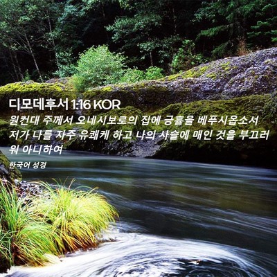 Picture 02 - 디모데후서 1:16 KOR - 원컨대 주께서 오네시보로의 집에 - Bible Verse Picture