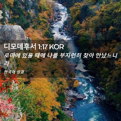 Picture 02 - 디모데후서 1:17 KOR - 로마에 있을 때에 나를 부지런히 - Bible Verse Picture