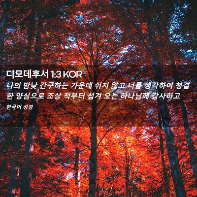 Picture 02 - 디모데후서 1:3 KOR - 나의 밤낮 간구하는 가운데 쉬지 - Bible Verse Picture