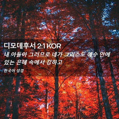 Picture 02 - 디모데후서 2:1 KOR - 내 아들아 그러므로 네가 그리스도 - Bible Verse Picture