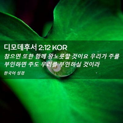 Picture 02 - 디모데후서 2:12 KOR - 참으면 또한 함께 왕노릇할 것이요 - Bible Verse Picture