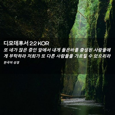 Picture 02 - 디모데후서 2:2 KOR - 또 네가 많은 증인 앞에서 내게 - Bible Verse Picture
