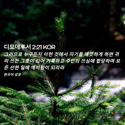Picture 02 - 디모데후서 2:21 KOR - 그러므로 누구든지 이런 것에서 - Bible Verse Picture