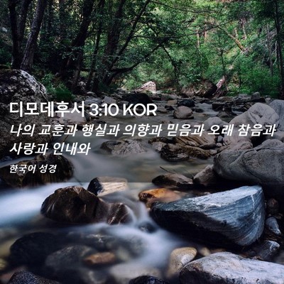 Picture 02 - 디모데후서 3:10 KOR - 나의 교훈과 행실과 의향과 믿음과 - Bible Verse Picture