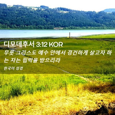 Picture 02 - 디모데후서 3:12 KOR - 무릇 그리스도 예수 안에서 경건하게 - Bible Verse Picture