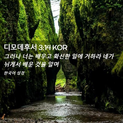 Picture 02 - 디모데후서 3:14 KOR - 그러나 너는 배우고 확신한 일에 - Bible Verse Picture