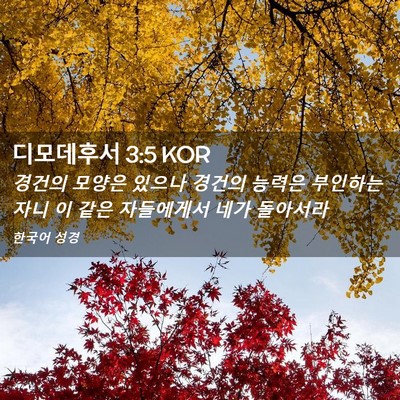Picture 02 - 디모데후서 3:5 KOR - 경건의 모양은 있으나 경건의 능력은 - Bible Verse Picture
