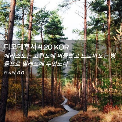 Picture 02 - 디모데후서 4:20 KOR - 에라스도는 고린도에 머물렀고 - Bible Verse Picture