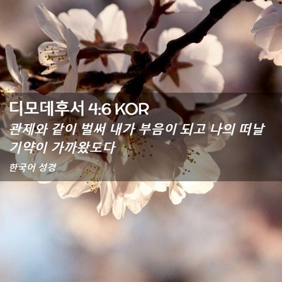 Picture 02 - 디모데후서 4:6 KOR - 관제와 같이 벌써 내가 부음이 되고 - Bible Verse Picture