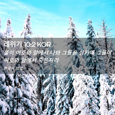 Picture 02 - 레위기 10:2 KOR - 불이 여호와 앞에서 나와 그들을 - Bible Verse Picture