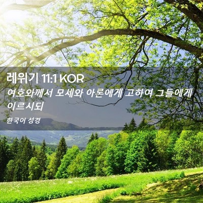 Picture 02 - 레위기 11:1 KOR - 여호와께서 모세와 아론에게 고하여 - Bible Verse Picture