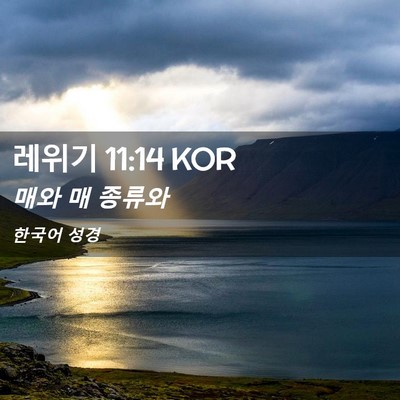 Picture 02 - 레위기 11:14 KOR - 매와 매 - Bible Verse Picture