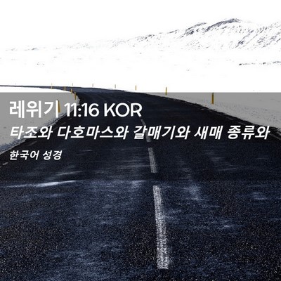 Picture 02 - 레위기 11:16 KOR - 타조와 다호마스와 갈매기와 새매 - Bible Verse Picture