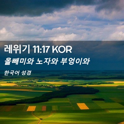 Picture 02 - 레위기 11:17 KOR - 올빼미와 노자와 - Bible Verse Picture