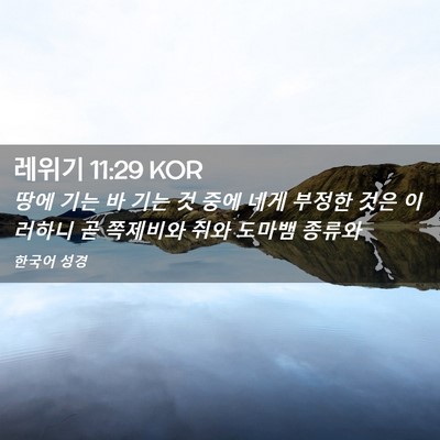 Picture 02 - 레위기 11:29 KOR - 땅에 기는 바 기는 것 중에 네게 - Bible Verse Picture