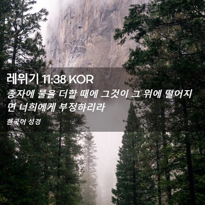 Picture 02 - 레위기 11:38 KOR - 종자에 물을 더할 때에 그것이 그 - Bible Verse Picture