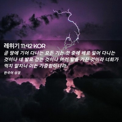 Picture 02 - 레위기 11:42 KOR - 곧 땅에 기어 다니는 모든 기는 것 - Bible Verse Picture