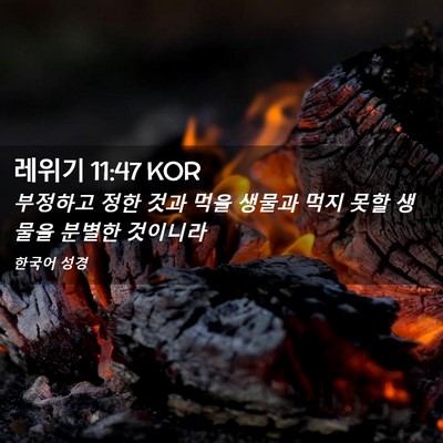 Picture 02 - 레위기 11:47 KOR - 부정하고 정한 것과 먹을 생물과 - Bible Verse Picture