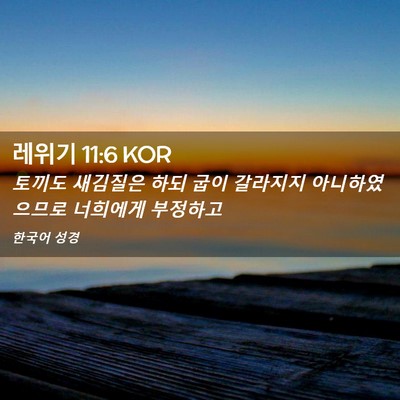 Picture 02 - 레위기 11:6 KOR - 토끼도 새김질은 하되 굽이 갈라지지 - Bible Verse Picture