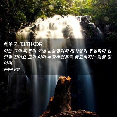 Picture 02 - 레위기 13:11 KOR - 이는 그의 피부의 오랜 문둥병이라 - Bible Verse Picture