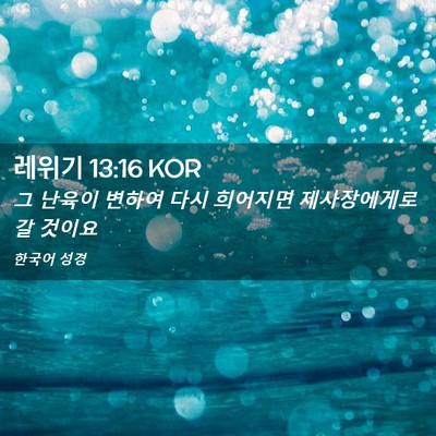 Picture 02 - 레위기 13:16 KOR - 그 난육이 변하여 다시 희어지면 - Bible Verse Picture