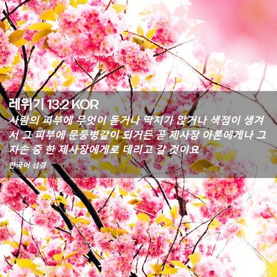 Picture 02 - 레위기 13:2 KOR - 사람의 피부에 무엇이 돋거나 딱지가 - Bible Verse Picture