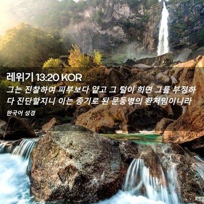 Picture 02 - 레위기 13:20 KOR - 그는 진찰하여 피부보다 얕고 그 - Bible Verse Picture