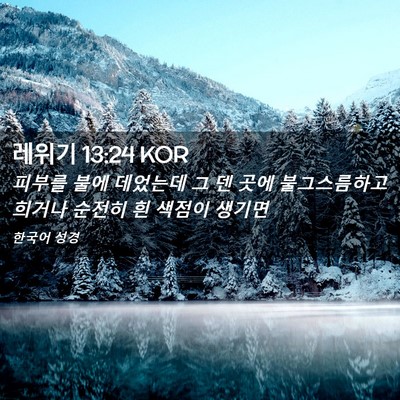 Picture 02 - 레위기 13:24 KOR - 피부를 불에 데었는데 그 덴 곳에 - Bible Verse Picture