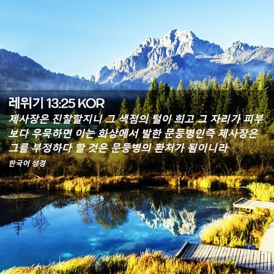 Picture 02 - 레위기 13:25 KOR - 제사장은 진찰할지니 그 색점의 털이 - Bible Verse Picture