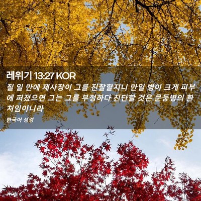 Picture 02 - 레위기 13:27 KOR - 칠 일 만에 제사장이 그를 - Bible Verse Picture