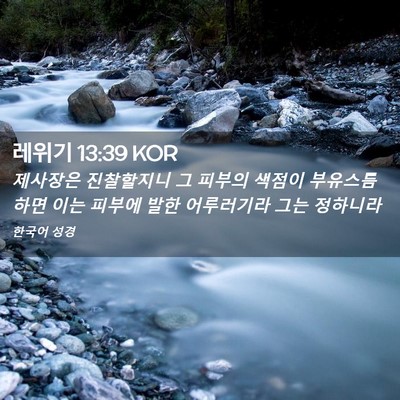 Picture 02 - 레위기 13:39 KOR - 제사장은 진찰할지니 그 피부의 - Bible Verse Picture