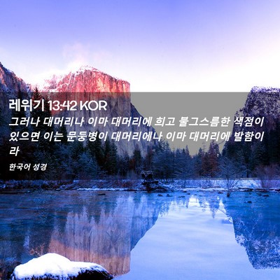 Picture 02 - 레위기 13:42 KOR - 그러나 대머리나 이마 대머리에 희고 - Bible Verse Picture