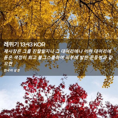 Picture 02 - 레위기 13:43 KOR - 제사장은 그를 진찰할지니 그 - Bible Verse Picture