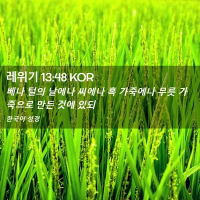 Picture 02 - 레위기 13:48 KOR - 베나 털의 날에나 씨에나 혹 - Bible Verse Picture