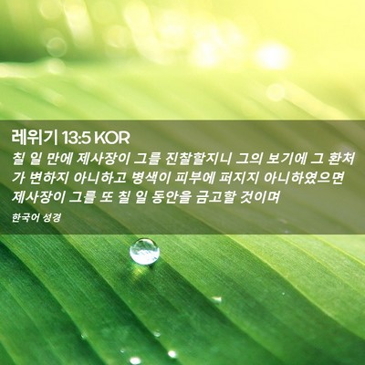 Picture 02 - 레위기 13:5 KOR - 칠 일 만에 제사장이 그를 - Bible Verse Picture