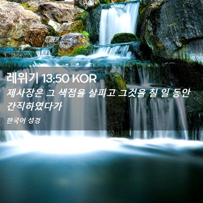 Picture 02 - 레위기 13:50 KOR - 제사장은 그 색점을 살피고 그것을 - Bible Verse Picture