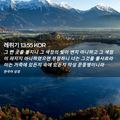 Picture 02 - 레위기 13:55 KOR - 그 빤 곳을 볼지니 그 색점의 빛이 - Bible Verse Picture