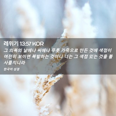 Picture 02 - 레위기 13:57 KOR - 그 의복의 날에나 씨에나 무릇 - Bible Verse Picture