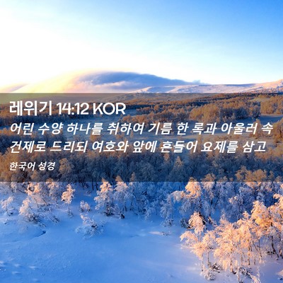 Picture 02 - 레위기 14:12 KOR - 어린 수양 하나를 취하여 기름 한 - Bible Verse Picture