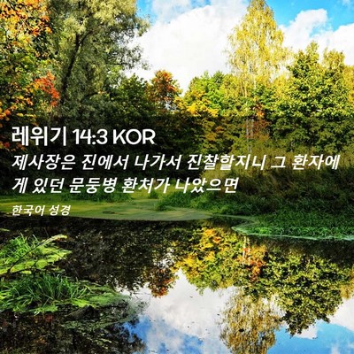 Picture 02 - 레위기 14:3 KOR - 제사장은 진에서 나가서 진찰할지니 - Bible Verse Picture