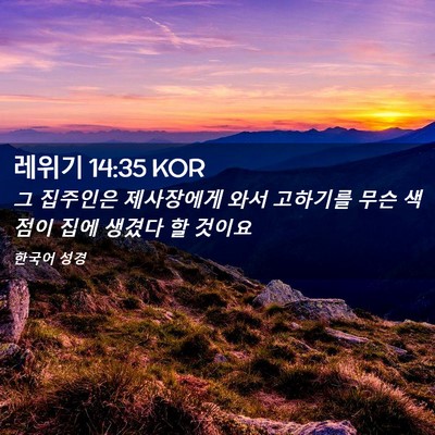 Picture 02 - 레위기 14:35 KOR - 그 집주인은 제사장에게 와서 - Bible Verse Picture